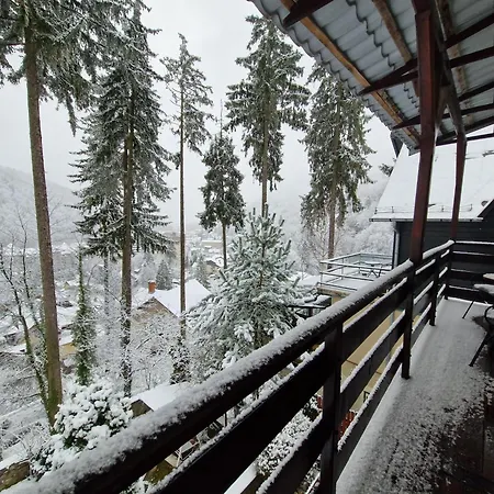 Vila Felix Sinaia Extérieur photo