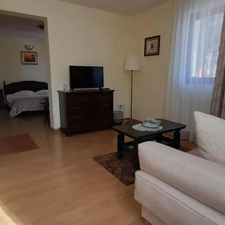 Vila Felix Sinaia Extérieur photo