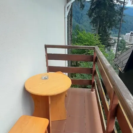 Vila Felix Sinaia Extérieur photo