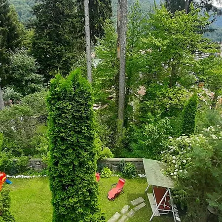 Vila Felix Sinaia Extérieur photo