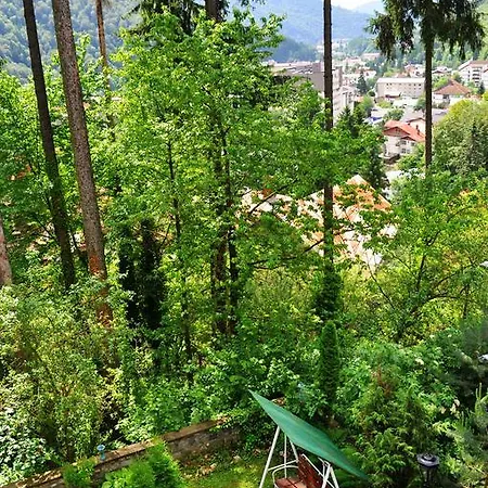 Vila Felix Sinaia Extérieur photo