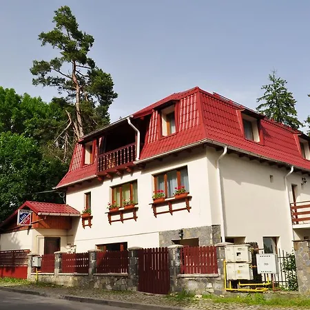 Vila Felix Sinaia Extérieur photo