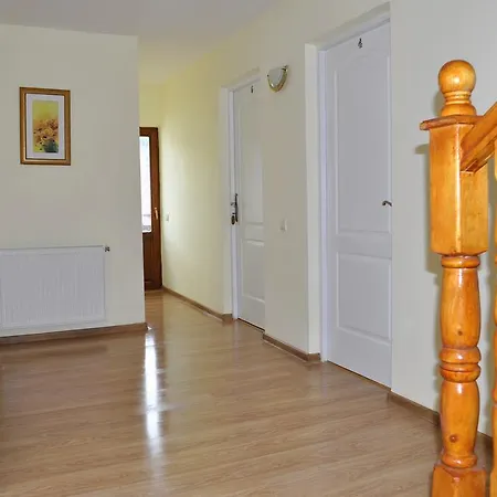 Vila Felix Sinaia Extérieur photo