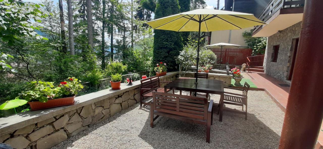 Guest house Felix 3*
